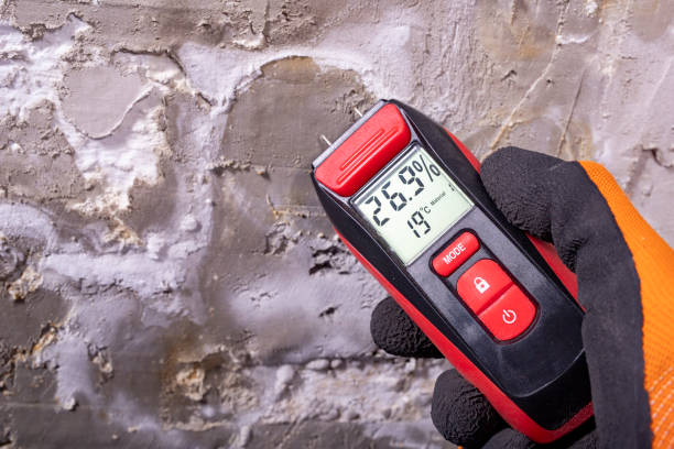 Crawl Space Mold Removal in Highland Beach, FL